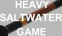 heavy-saltwater-game-tn