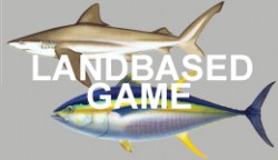 Shark, Tuna or Marlin (Land Based Game)