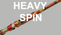 Heavy Spin