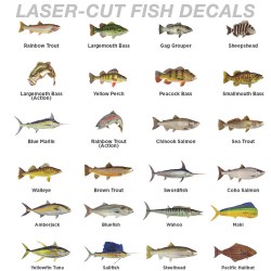 Laser_Cut_Fish_D_4c5002d05a9bc.jpg